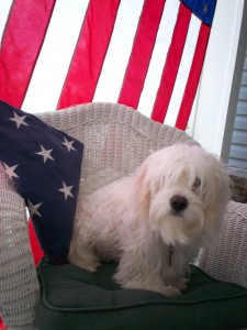 "BREEZY" The First State's Cutest Patriot on Memorial Day 2011