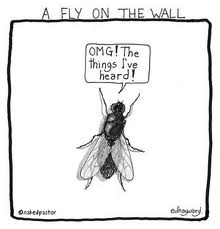 fly on wall