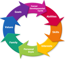 career cycle